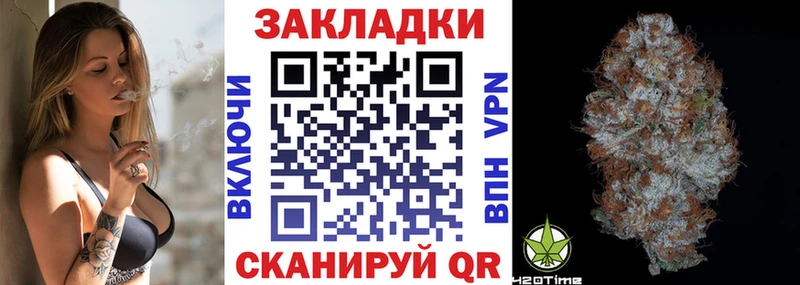 Где купить наркотики Гаджиево Галлюциногенные грибы  Гашиш  Конопля  COCAIN 