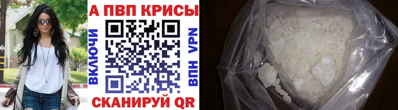 kraken как зайти Гаджиево Alpha-PVP СК