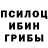 Галлюциногенные грибы мицелий Vlad Soliev