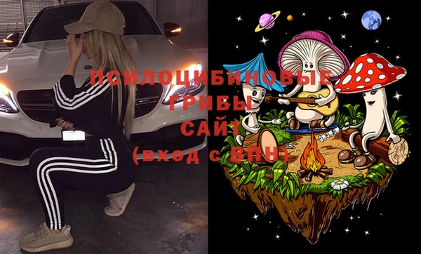 МДПВ Белокуриха