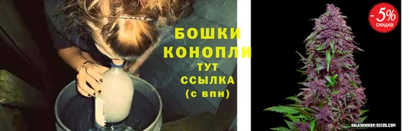 МДПВ Белокуриха