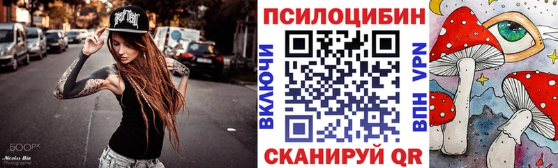Галлюциногенные грибы Psilocybine cubensis  Гаджиево 