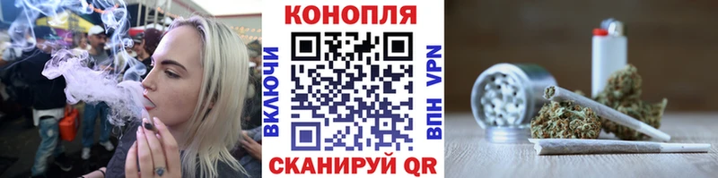 закладка  Гаджиево  Шишки марихуана тримм 